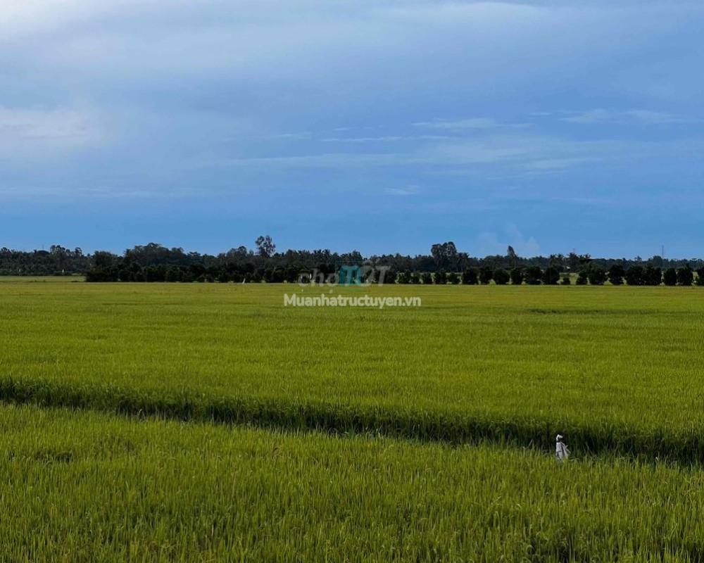 Đất Phú Đức gia ban 2.5 triệu