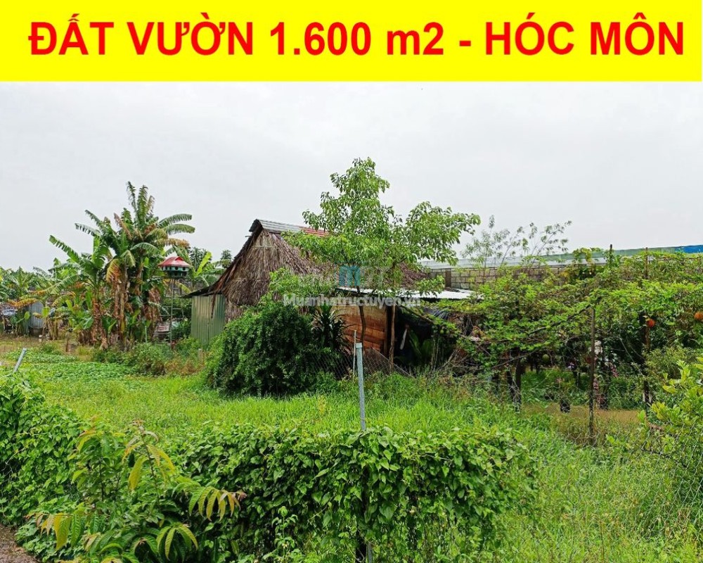 Đất Hồ Chí Minh Xuân Thới Sơn dien tich 1600 met vuong