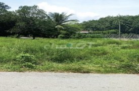 Chính chủ cần cho thuê 2 hecta đất nông nghiệp tại Tân Phước, Tiền Giang giá 2.9 triệu
