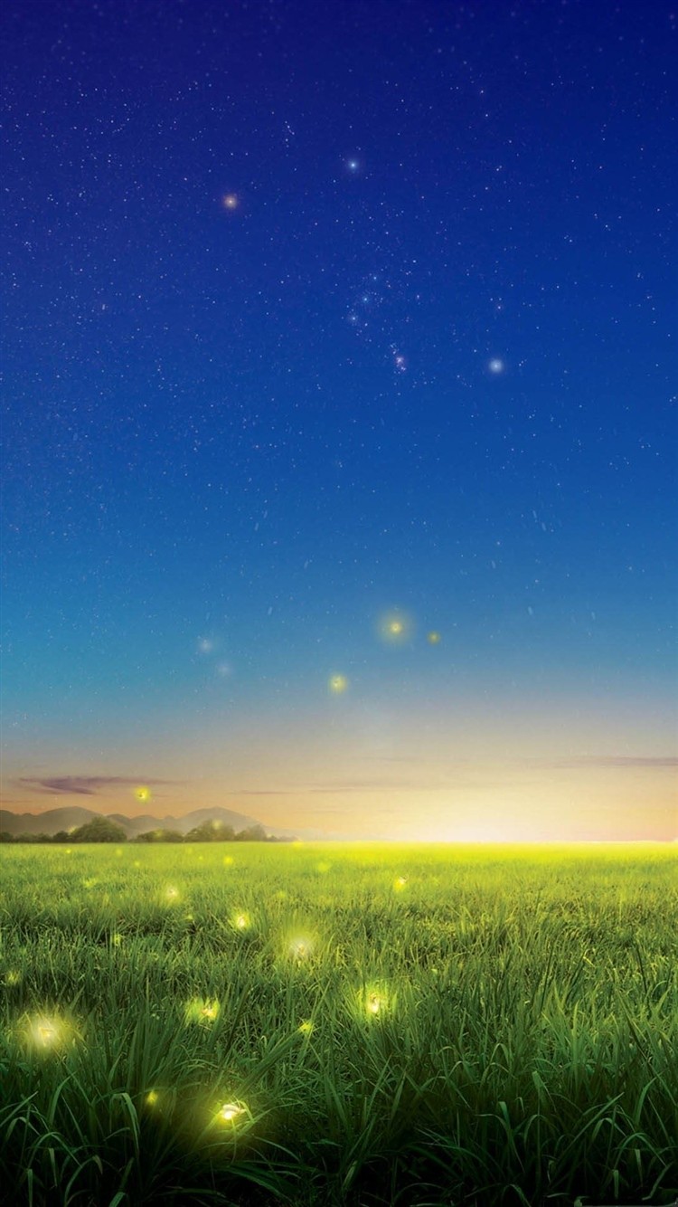 Top với hơn 102 tải hình nền đẹp miễn phí anime siêu đỉnh  POPPY