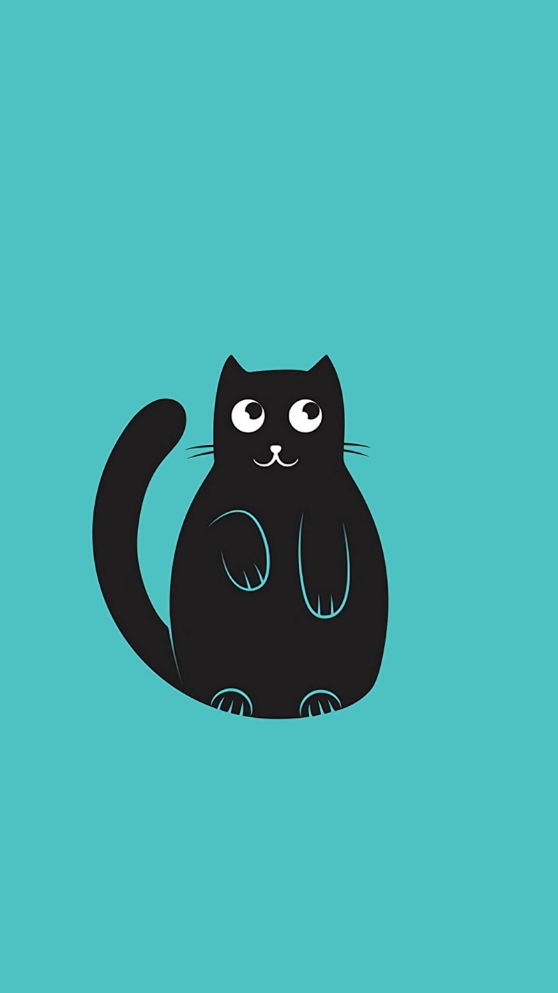 hình nền con mèo đen trên nền xanh