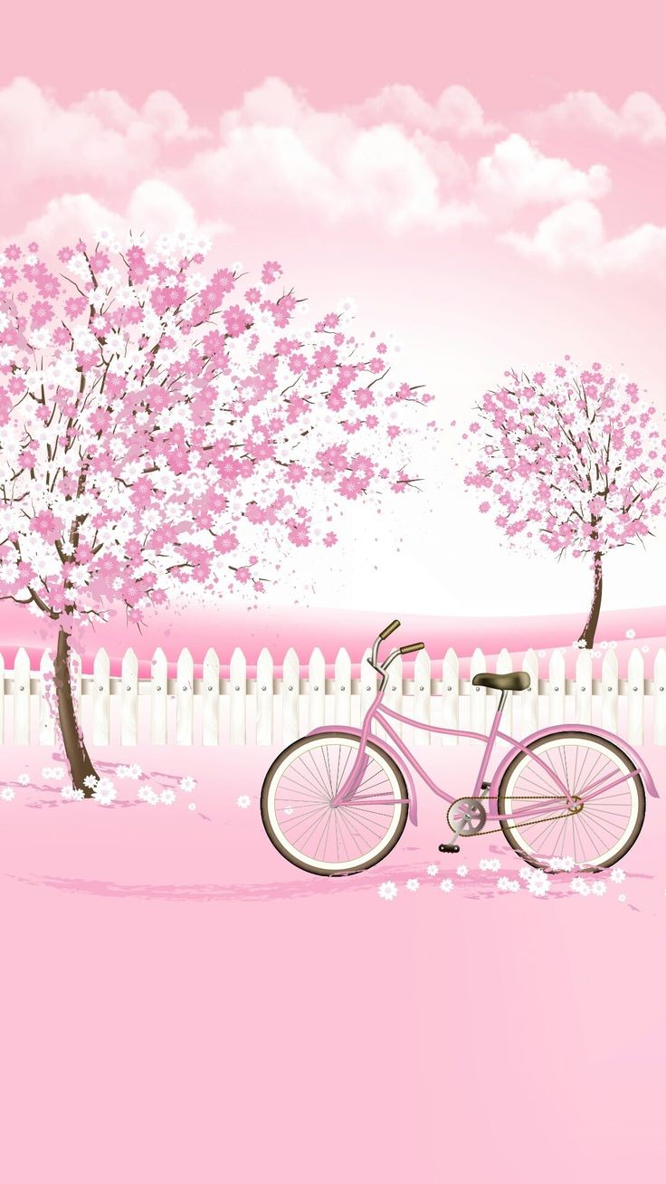 hình nền xe đạp và những cây hoat màu hồng
